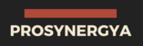 prosynergya.mx